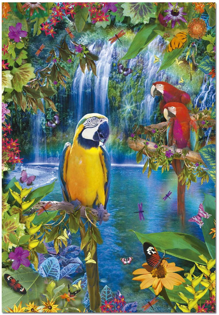 Puzzle Papagájok a dzsungelben