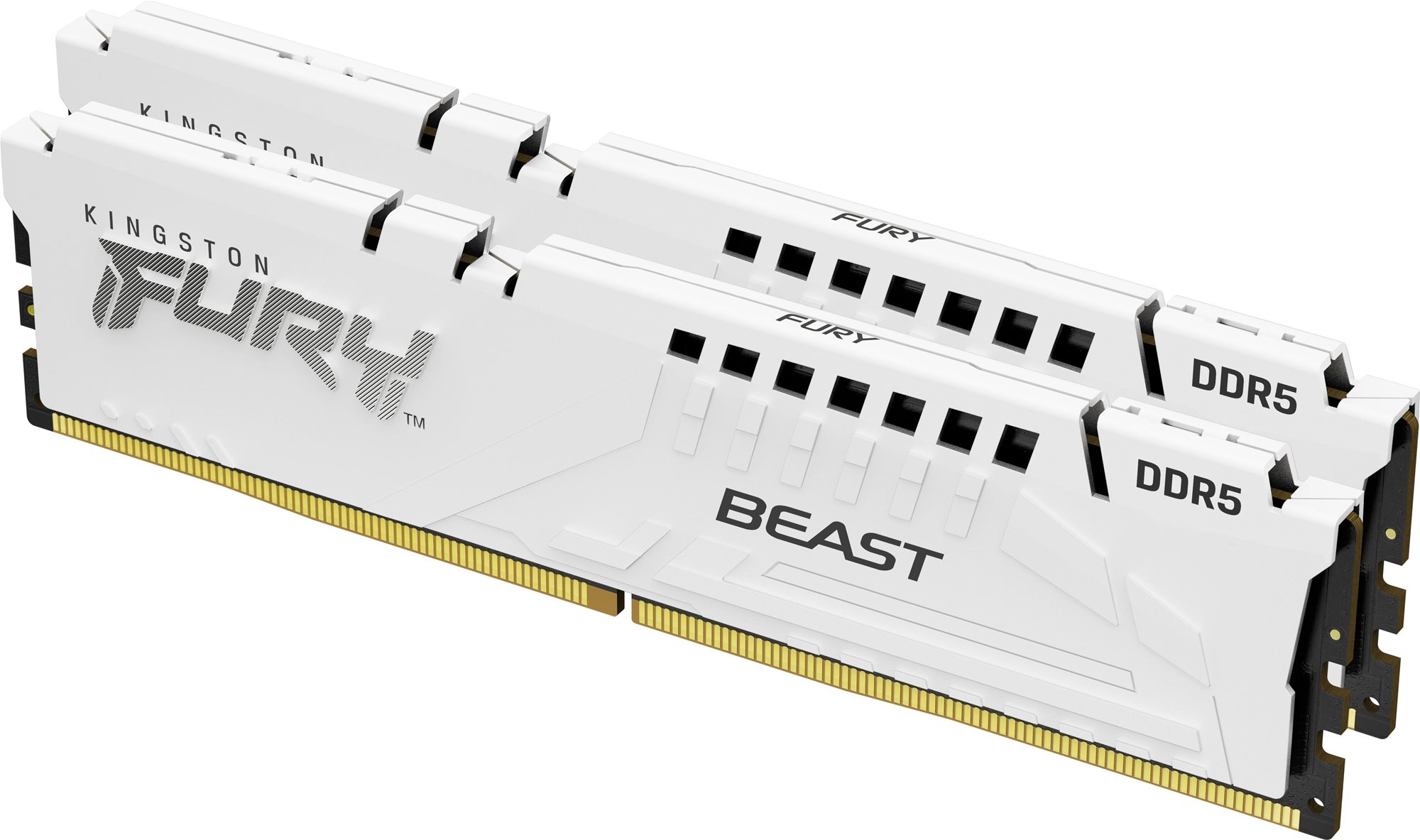 RAM memória Kingston FURY 32GB KIT DDR5 5600MHz CL40 Beast White XMP